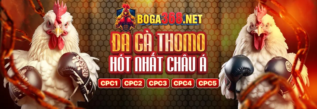 Đá gà trực tuyến kịch tính tại 333win code