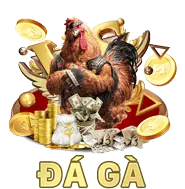 Gửi email hỗ trợ 333win code