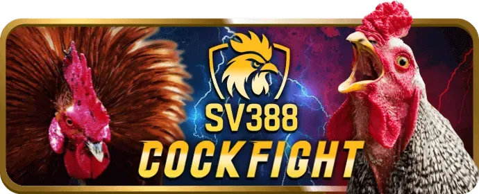 Cá cược Esports 333win code